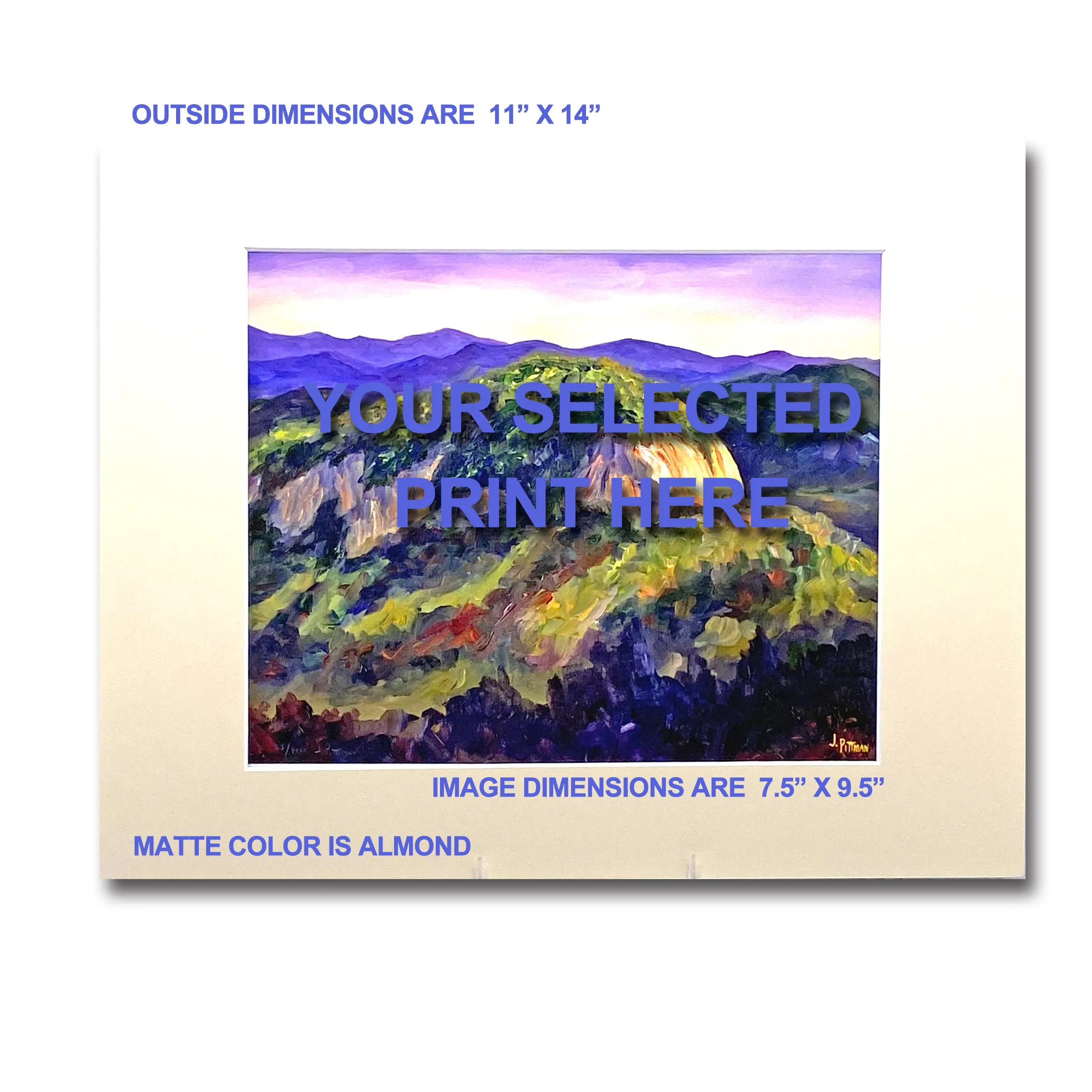 Cold Mountain Rhododendrons 11X14 Matted Print