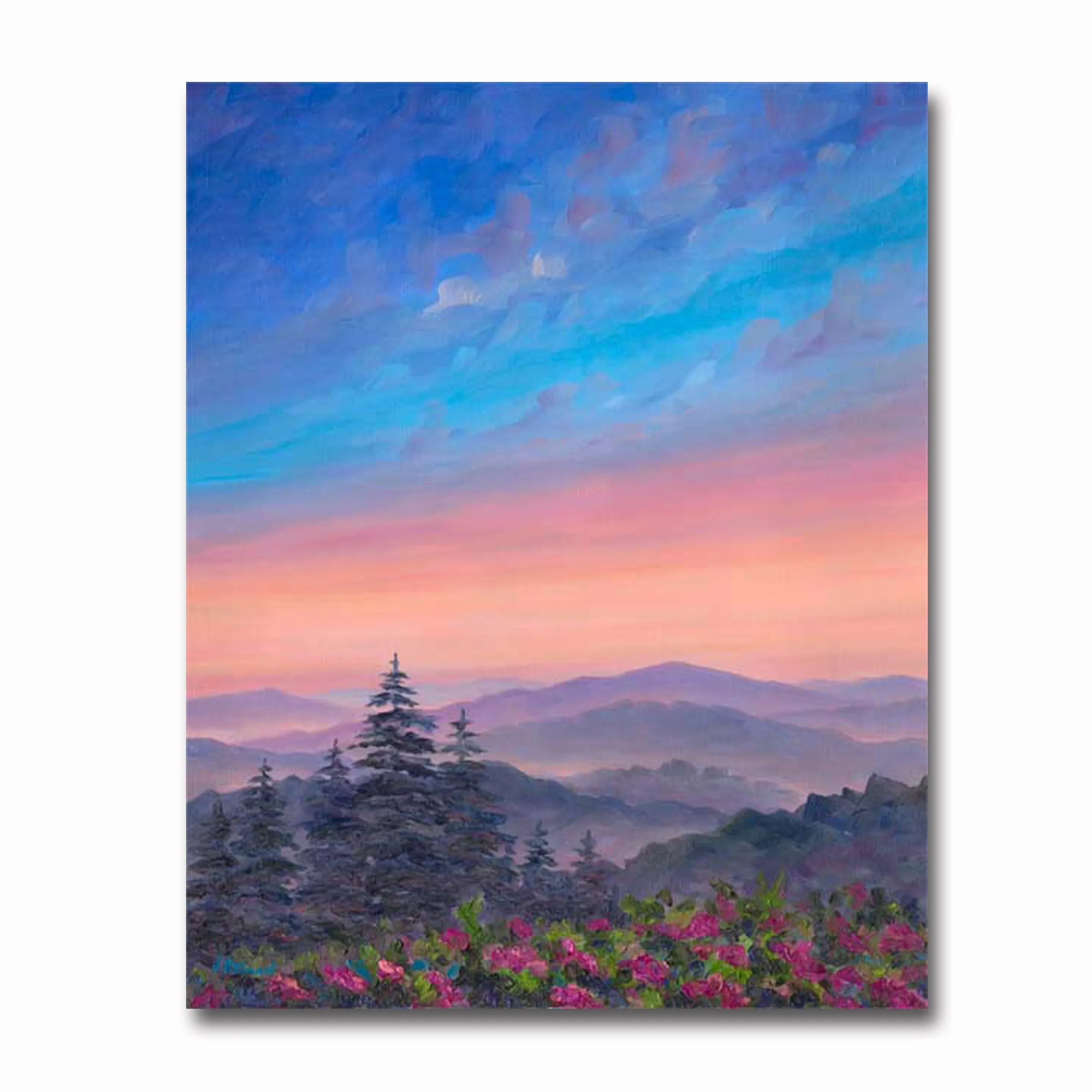 Cold Mountain Rhododendrons 11X14 Matted Print